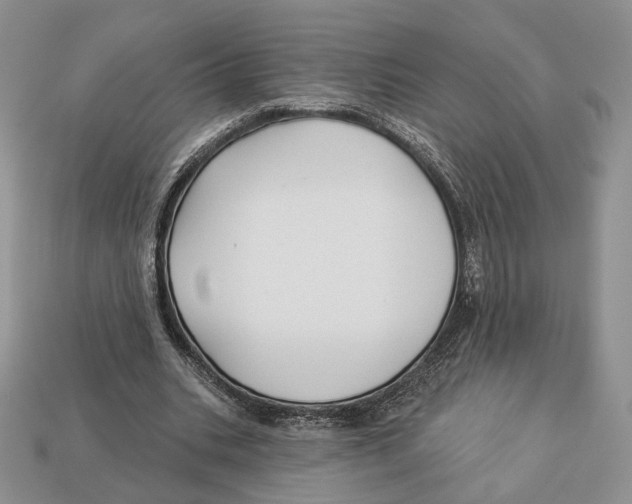X0000112940535200909211136