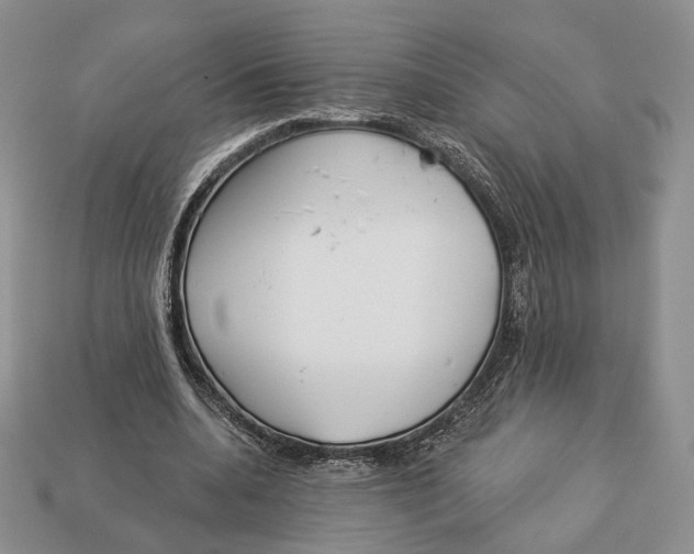 X0000112940536200909211136