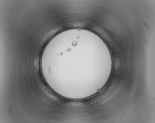 X0000112940537200909211136