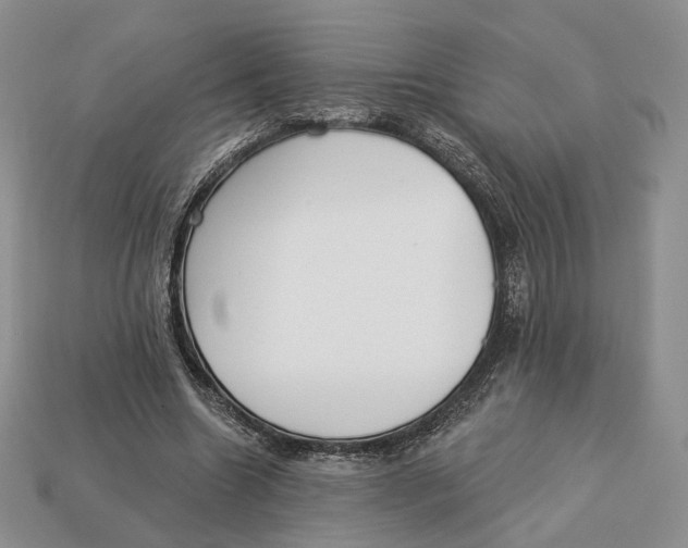 X0000112940538200909211136