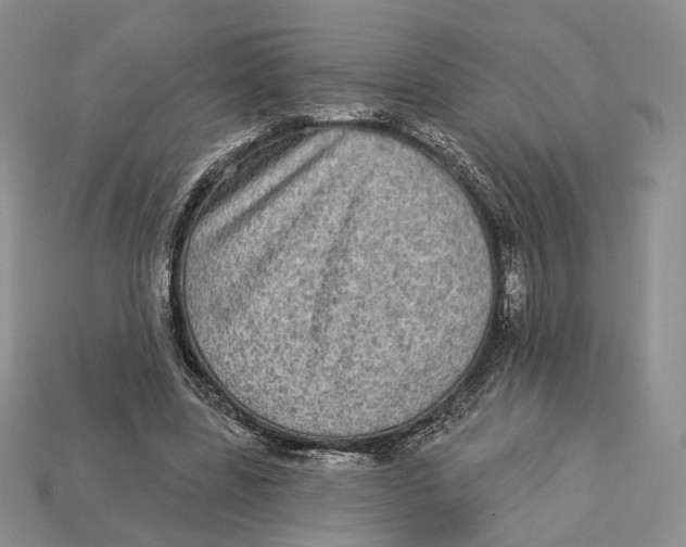 X0000112940539200909211136