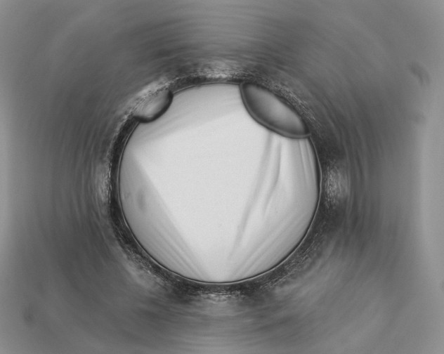 X0000112940540200909211136