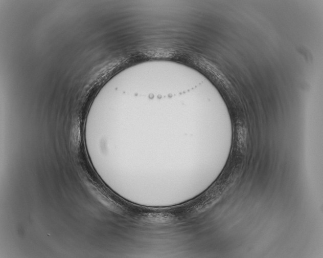 X0000112940541200909211136