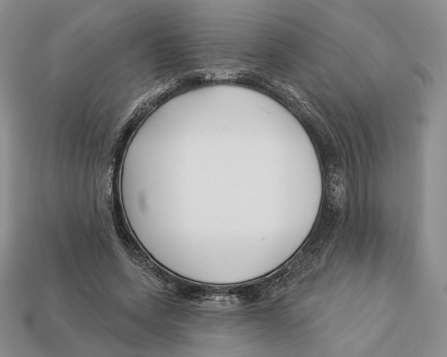 X0000112940543200909211136