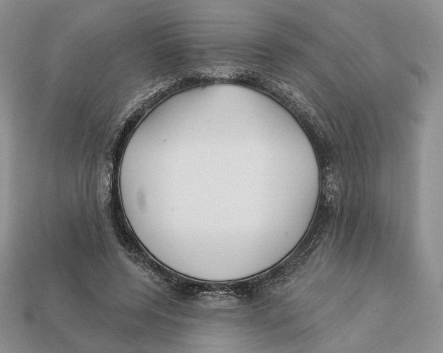 X0000112940544200909211136