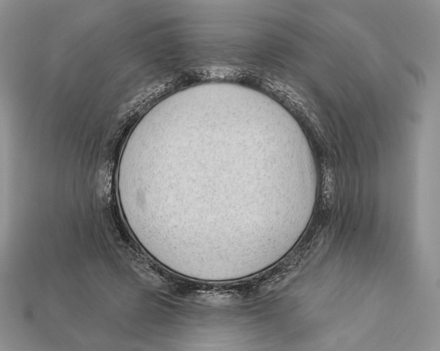 X0000112940545200909211136