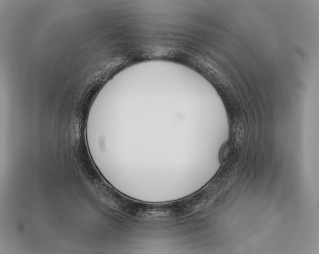 X0000112940546200909211136