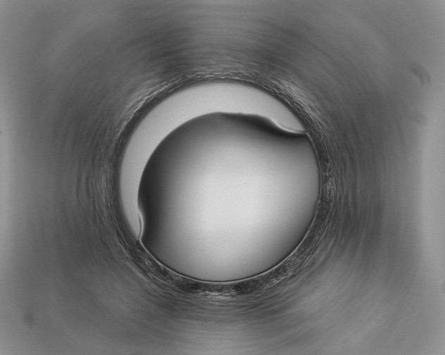 X0000112940548200909211136