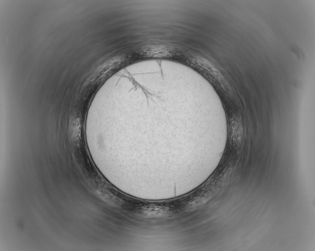 X0000112940549200909211136