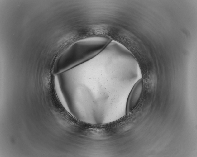 X0000112940552200909211136