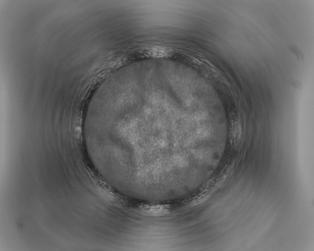 X0000112940553200909211136