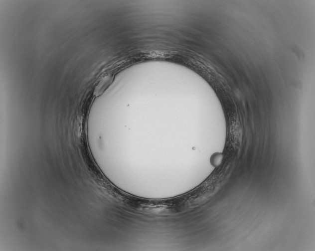 X0000112940554200909211136