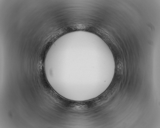 X0000112940555200909211136