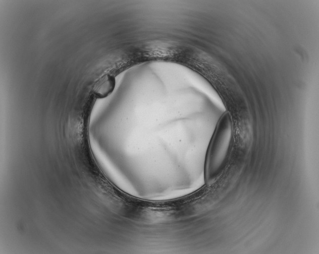 X0000112940556200909211136