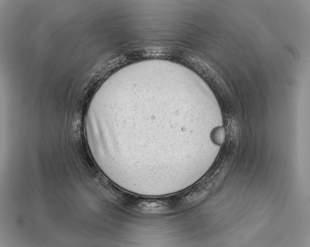X0000112940557200909211136