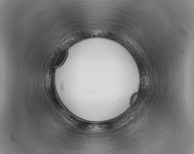 X0000112940558200909211136