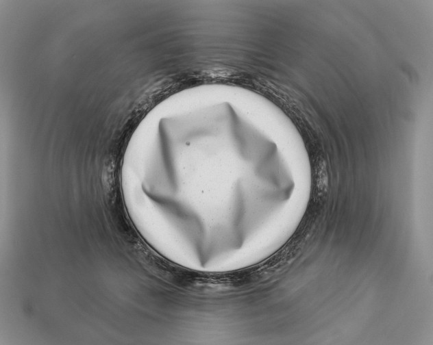 X0000112940559200909211136
