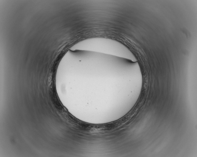 X0000112940560200909211136