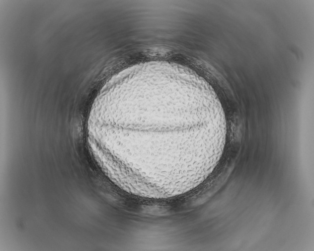 X0000112940561200909211136