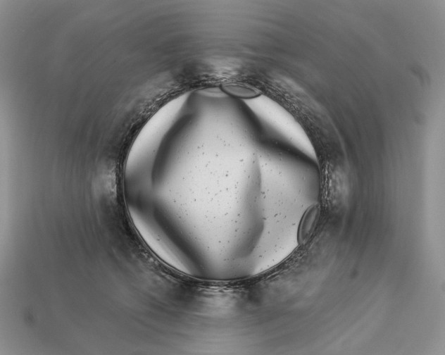 X0000112940562200909211136