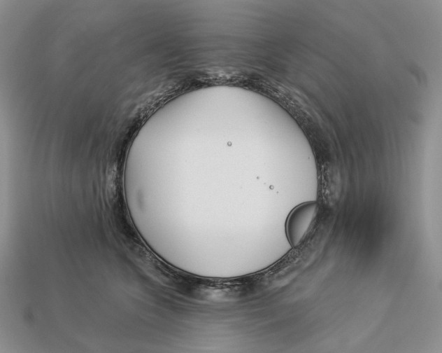 X0000112940563200909211136