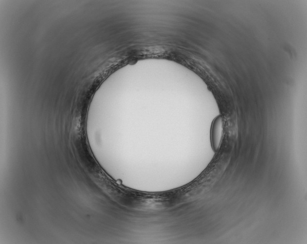 X0000112940564200909211136