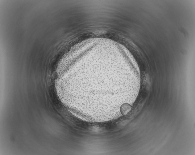 X0000112940565200909211136