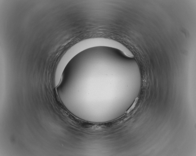 X0000112940566200909211136