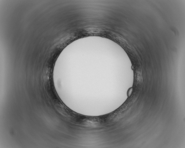 X0000112940567200909211136