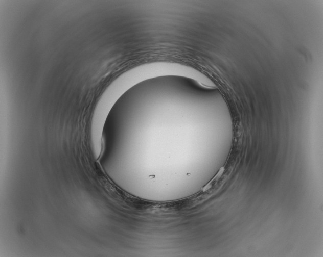 X0000112940568200909211136