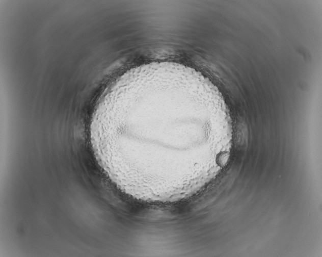 X0000112940569200909211136