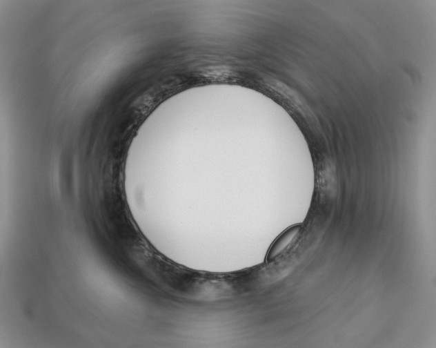 X0000112940572200909211136