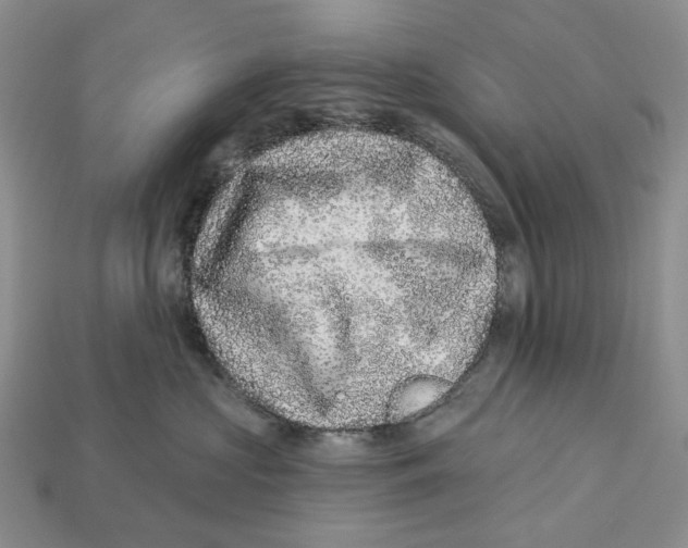 X0000112940573200909211136
