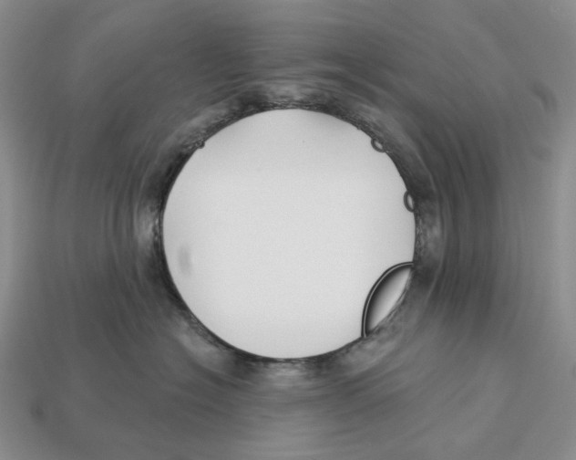 X0000112940574200909211136