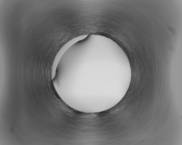 X0000112940576200909211136