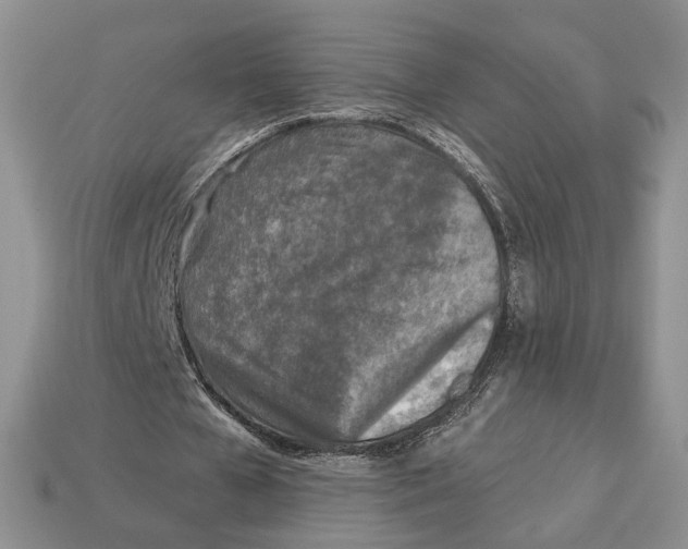 X0000112940577200909211136