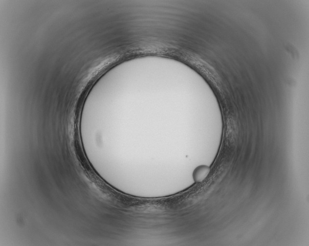 X0000112940578200909211136