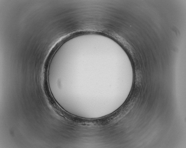 X0000112940580200909211136