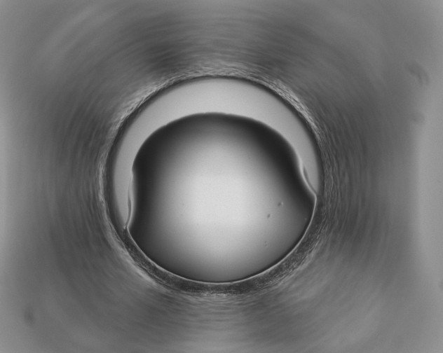 X0000112940581200909211136
