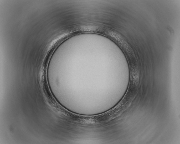 X0000112940583200909211136