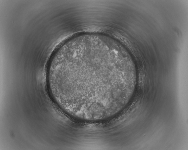X0000112940584200909211136