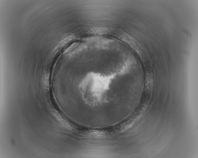X0000112940585200909211136