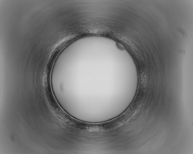 X0000112940587200909211136