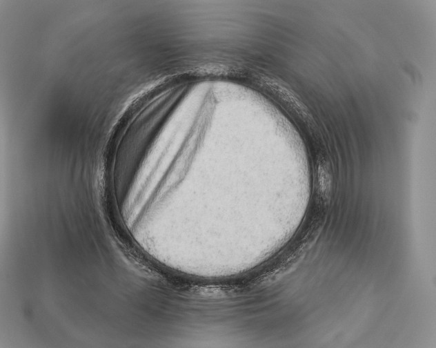 X0000112940588200909211136