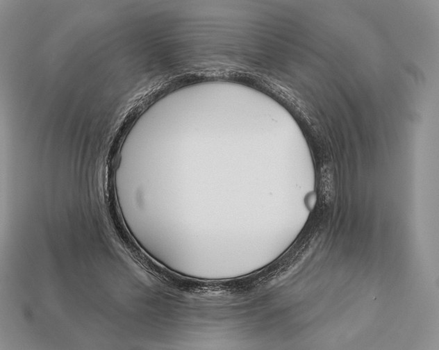 X0000112940589200909211136