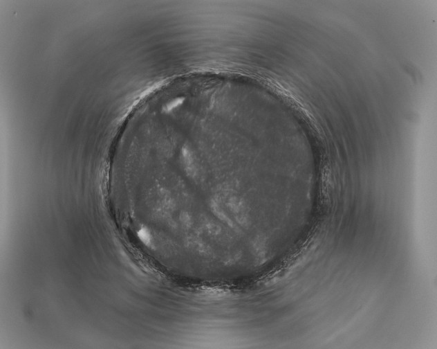 X0000112940592200909211135