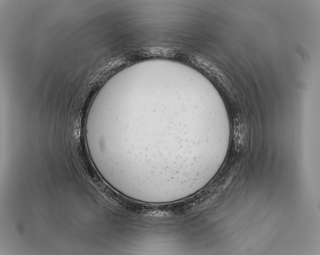 X0000112940593200909211135