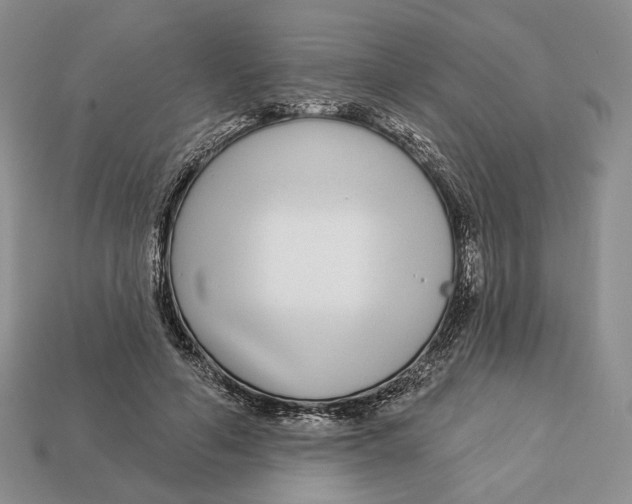 X0000112940594200909211135