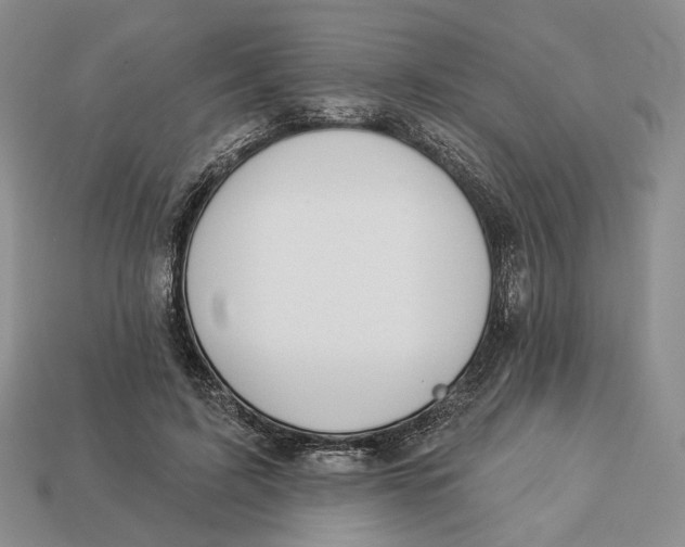 X0000112940595200909211135