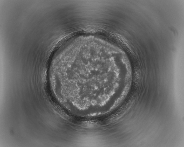 X0000112940596200909211135
